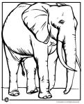 elephant coloring page 2