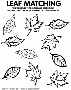 leaf matching