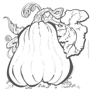 pumpkin coloring
