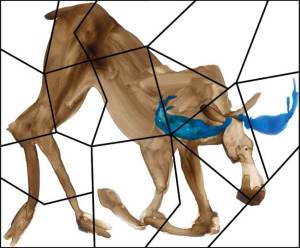 agate the moose puzzle - click on pic to open