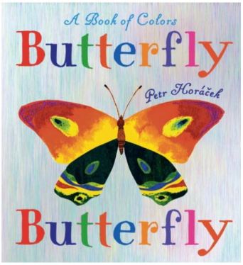 Butterfly Butterfly - A Book of Colors by Petr Horacek