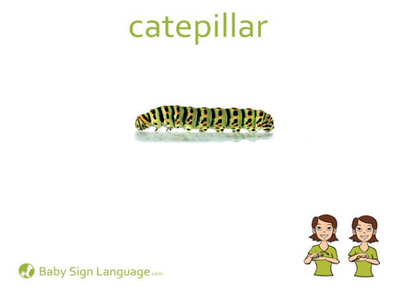 caterpillar sign