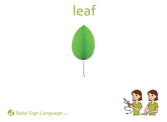 leaf sign