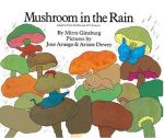 mushroom in the rain