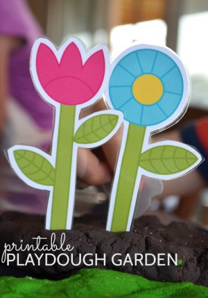 pladough-garden-title